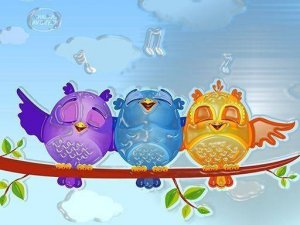 Feathered Friends Picture Puzzle