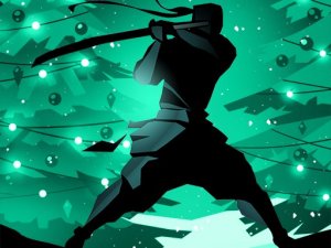Shadow Combat 2 RPG Action Game