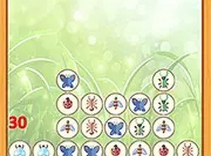 Bugs Match Puzzle Game