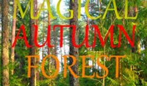Magical Autumn Forest Puzzle Game - Puzzle Game