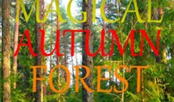 Magical Autumn Forest Puzzle Game - Puzzle Game